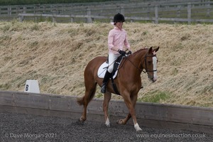 ISIS Dressage Challenge 2008